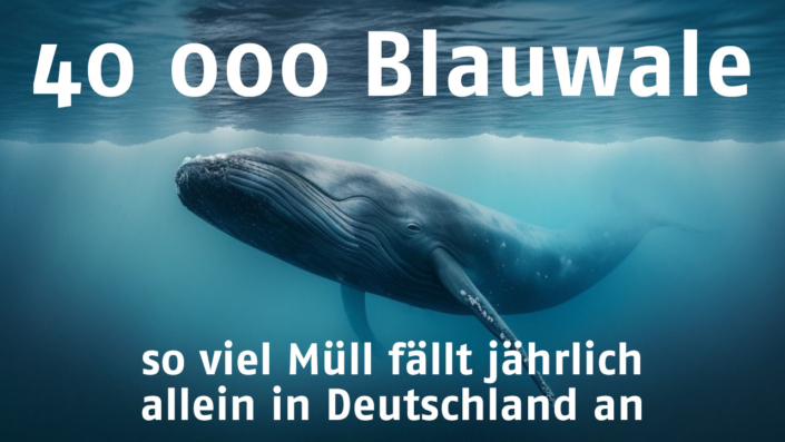 Blauwal Green IT